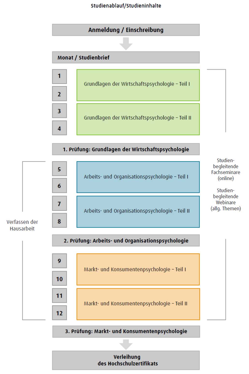 Grafischer Studienablauf zum Fernstudium Wirtschaftsosychologie